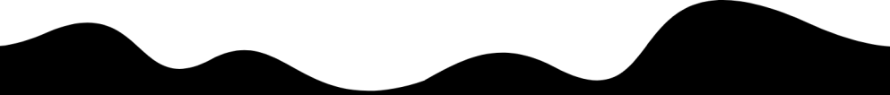 Black silhouette of a wavy line on a white background.